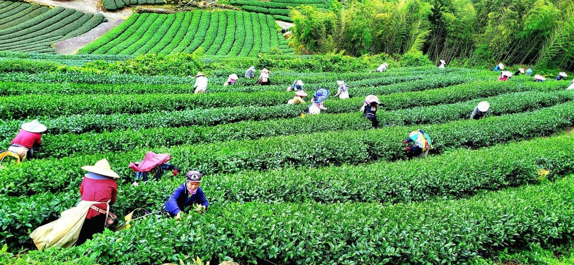 Tianyi Homestay Fenchihu Luaran gambar